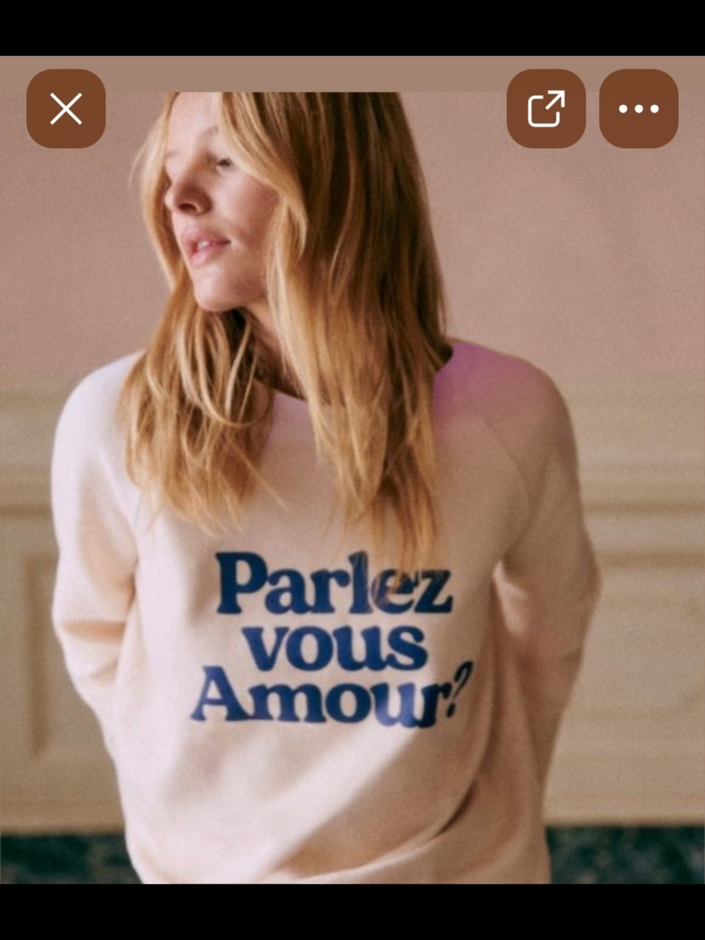 Sézane 'Parlez vous Amour?' Sweatshirt Size S